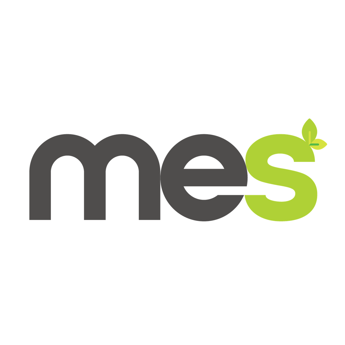 MES