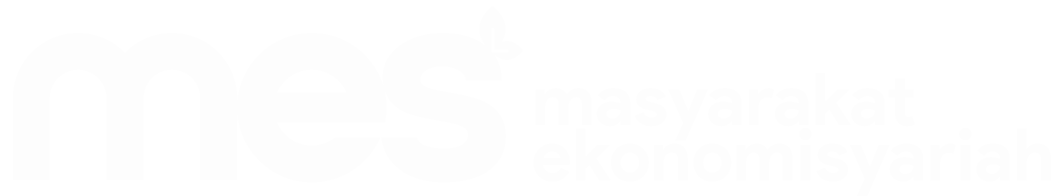 MES — Masyarakat Ekonomi Syariah